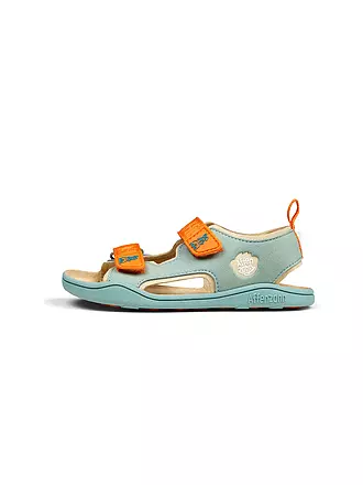 AFFENZAHN | Kinder Sandalen AIRY Bär | mint