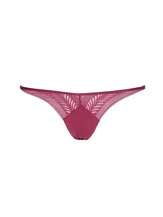 CALVIN KLEIN | String purple | beere