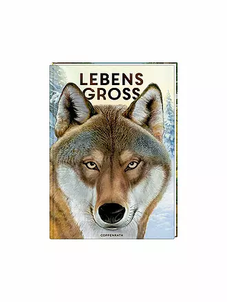 COPPENRATH VERLAG | Buch - Lebensgroß - Tiere des Waldes | 