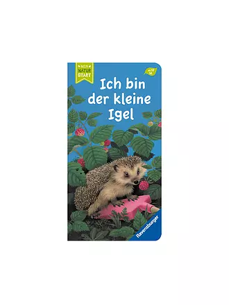 RAVENSBURGER | Buch - Ich bin der kleine Igel | 