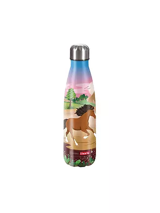 STEP BY STEP | Edelstahl Trinkflasche - Dino Tres 0,5L | bunt