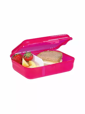 STEP BY STEP | Lunchbox - Wild Cat Chiko | pink