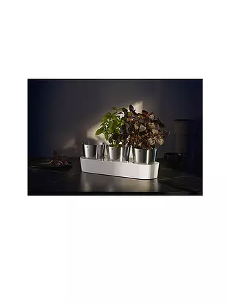 WMF | Gourmet Indoor Kräutergarten Set 3-tlg Cromargan / Weiss | silber