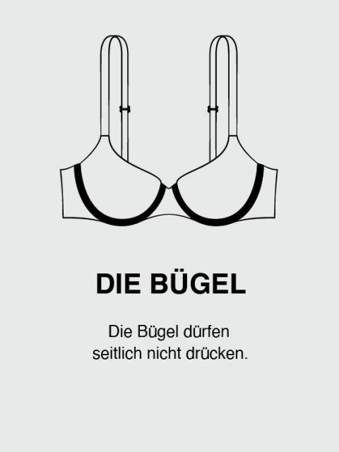 BH-Guide-Buegel