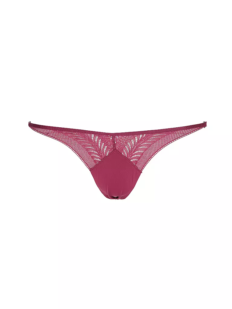 CALVIN KLEIN | String purple | beere