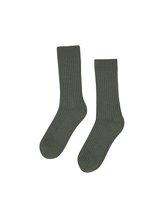 COLORFUL STANDARD | Socken MERINO WOOL 41-46 dusty olive