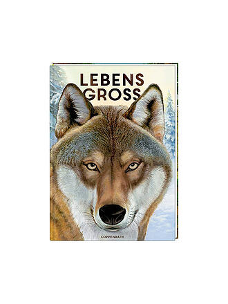 COPPENRATH VERLAG | Buch - Lebensgroß - Tiere des Waldes