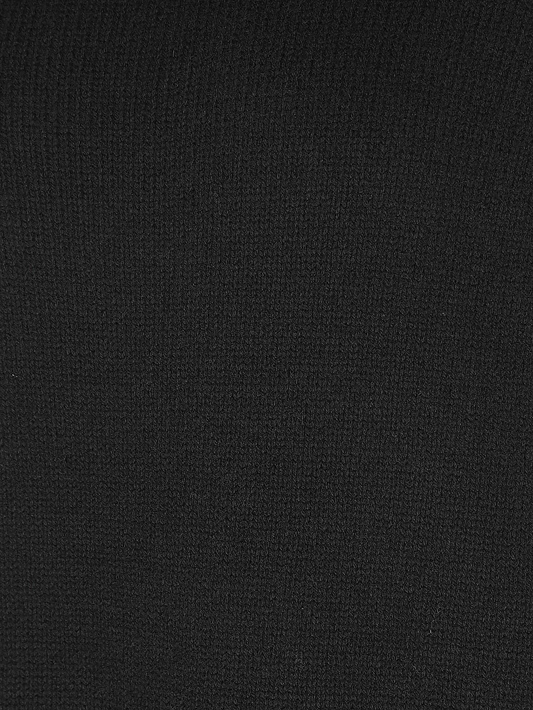 ECOALF | Rollkragenpullover CAQUIALF  | schwarz