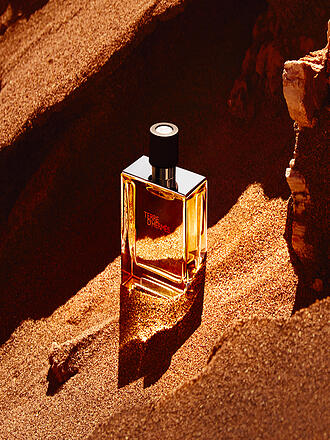 HERMÈS | Terre d'Hermès Parfum 75ml