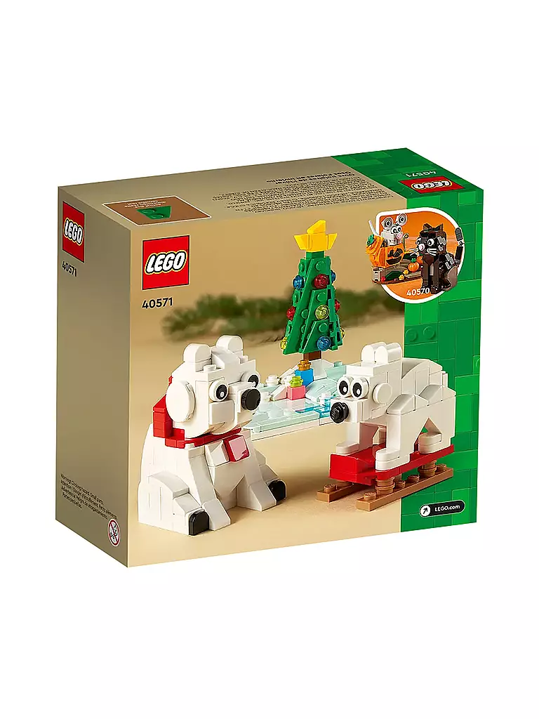 LEGO | Eisbären im Winter 40571 | keine Farbe