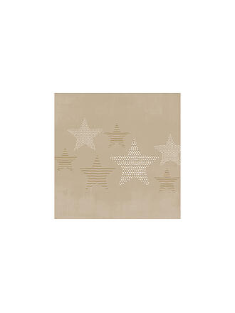 PAPER-PRODUCTS | Weihnachts Lunch-Servietten 33x33cm PURE STARLIGHT 