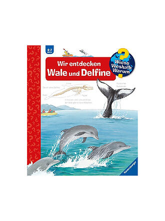 RAVENSBURGER | Buch - Wieso Weshalb Warum - Wir entdecken Wale und Delfine Band 41