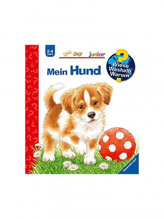 RAVENSBURGER | Buch - Wieso Weshalb Warum - ein Hund Band 41