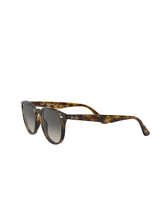 RAY BAN | Sonnenbrille 4259/51