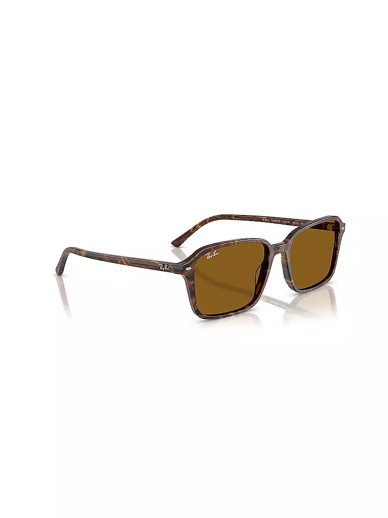 RAY BAN | Sonnenbrille 0RB2231/58 | braun