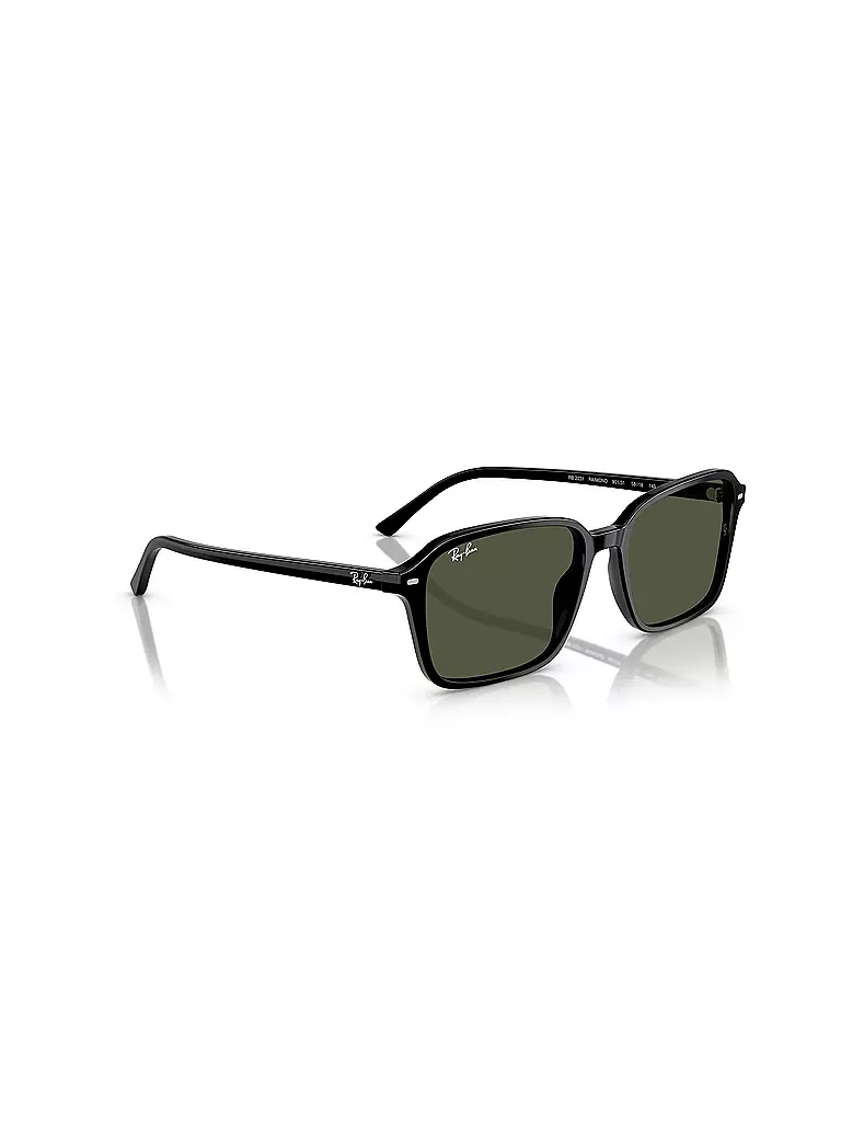 RAY BAN | Sonnenbrille 0RB2231/58 | schwarz