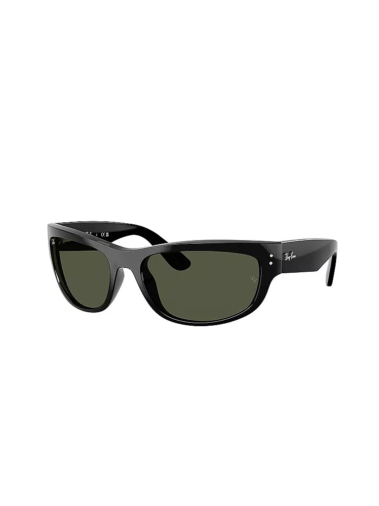 RAY BAN | Sonnenbrille 0RB2289/63 | schwarz