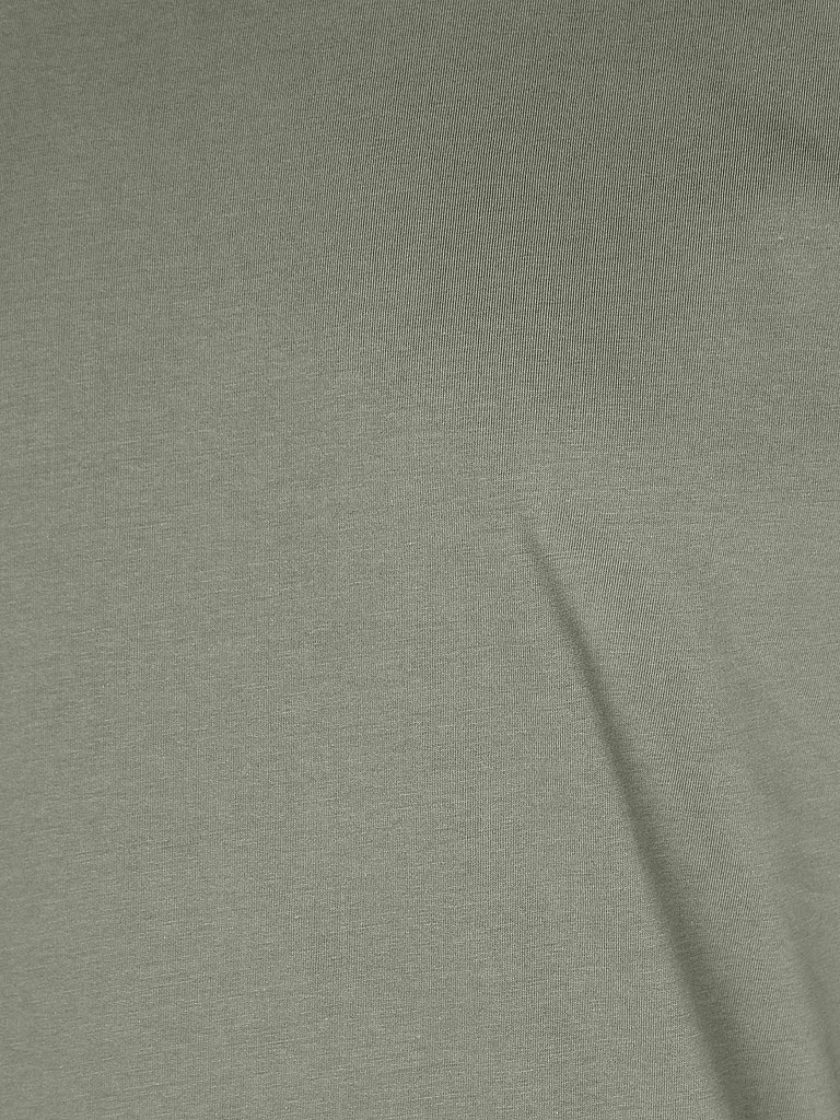 REPLAY | T-Shirt | olive