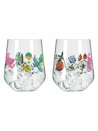 RITZENHOFF | Gin Tumbler 2-er Set BOTANIC LIGHTS #9 #10 Olaf Hajek 2024