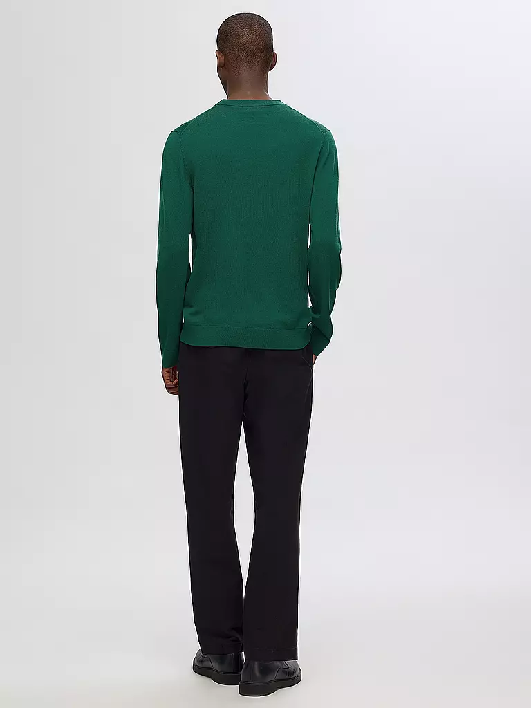 SELECTED | Pullover SLHTRAY | grün